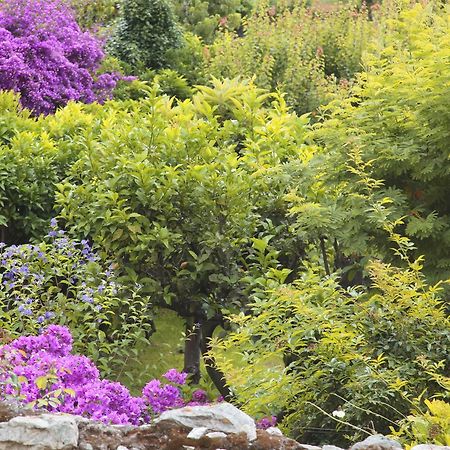 Casa Nobile Bed & Breakfast Tovo San Giacomo Bagian luar foto